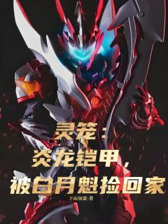 灵笼：炎龙铠甲，被白月魁捡回家小说陆晨马克免费阅读