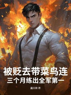 秦川康雷是哪本小说主角 被贬去带菜鸟连？三个月练出全军第一！免费全章节阅读