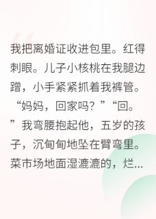 离婚带崽，前任他哥来求亲小说免费版阅读抖音热文
