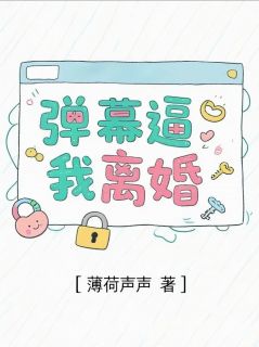 弹幕逼我离婚陈砚之苏清禾小说全文阅读