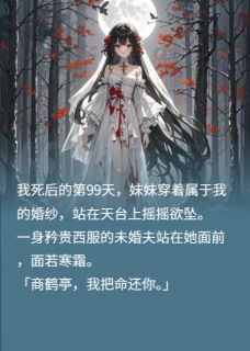 商鹤亭舒柠全文最新章节正版小说免费阅读