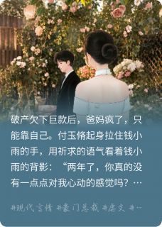 快手热推破产后把总裁当提款机，用完就丢小说主角钱小雨付玉脩在线阅读