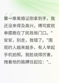 我离婚,他疯了安安傅司宸许庭深免费全章节目录阅读