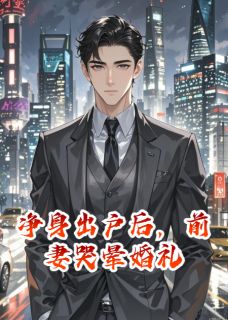 快手净身出户后，前妻哭晕婚礼小说全本章节大结局-暗夜阅读网