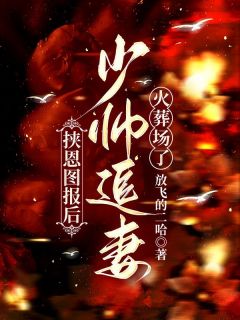 放飞的二哈写的小说挟恩图报后，少帅追妻火葬场了在线阅读-暗夜阅读网