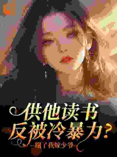 供他读书反被冷暴力？踹了我嫁少爷小说-供他读书反被冷暴力？踹了我嫁少爷抖音小说乔淑纪珩-暗夜阅读网