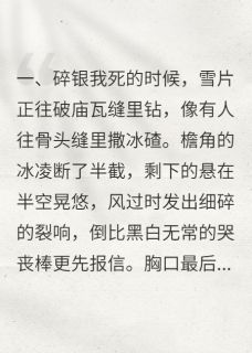 抖音雪落时，魂归处txt小说阅读