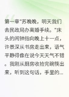 抖音爆款重回75我爽快签下首长老公离婚书林雨萱许景深苏晚晚无广告阅读