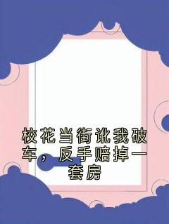 蓝鸢深井的小说校花当街讹我破车，反手赔掉一套房全文阅读