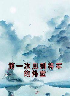 【新书】第一次见到将军的外室主角元昭裴肆全文全章节小说阅读
