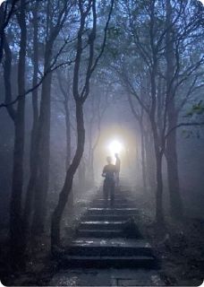 抖音小说文明的哭泣引路人主角姜澍姜玥全文小说免费阅读