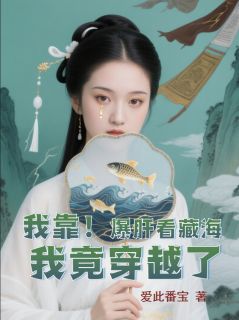 钱媛月奴小说章节目录阅读-我靠！爆肝看藏海，我竟穿越了在哪免费看