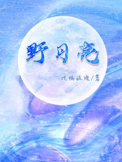 爆款小说由作者祝福玫瑰所创作的野月亮在线阅读
