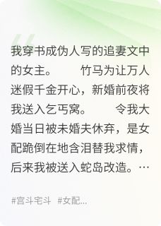 当恶女穿进伪人写的追妻虐女文by焱煊