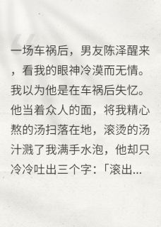 陈泽夏安林薇男友为了和我分手，假装车祸失忆小说完整版