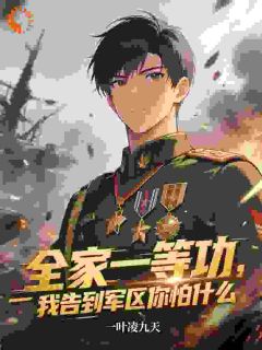热文全家一等功，我告到军区你怕什么小说-主角岳小飞高子盛全文在线阅读