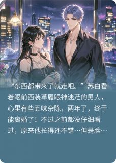 苏白谢淮州是哪本小说主角 离婚后我绑定了好感度系统免费全章节阅读-暗夜阅读网