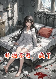 非她不可，疯了主角是苏晚陆䂙小说百度云全文完整版阅读-暗夜阅读网