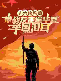 十六枚胸章：带战友走遍华夏，举国泪目苏明阳小悦悦大结局小说全章节阅读-暗夜阅读网
