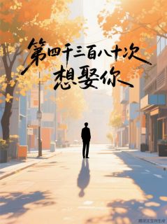 陆赫扬岑漫漫林朗小说抖音热文第四千三百八十次，想娶你完结版-暗夜阅读网