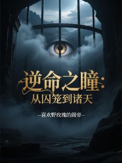 苏寒叶青羽是哪部小说的主角 逆命之瞳：从囚笼到诸天全文无弹窗-暗夜阅读网