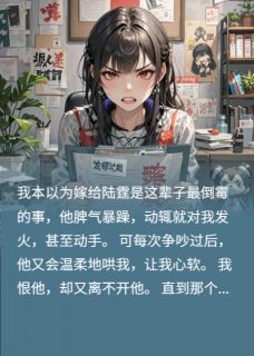 陆霆赵明是哪本小说主角 爱恨交织的婚姻免费全章节阅读-暗夜阅读网