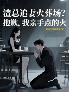 渣总追妻火葬场抱歉我亲手点的火知乎后续免费试读-暗夜阅读网