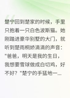楚宁楚雨桐流浪街头的千金小姐全文(楚宁楚雨桐)章节免费阅读
