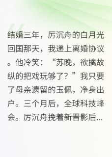 离婚？总裁他跪求我复婚！！小说(完结版)-苏晚厉沉舟林薇薇在线阅读-暗夜阅读网