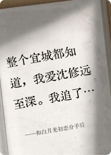 和白月光初恋分手后小说(完整版)-沈修远沈烨蒋笑章节阅读