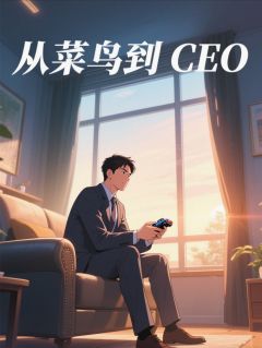 顽童的奇旅：从菜鸟到CEOby金灿灿的润免费阅读小说大结局
