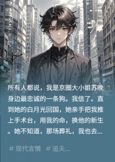 苏晚顾言非林澈小说(我死后，她抱着骨灰盒疯了)_苏晚顾言非林澈小说最新章节