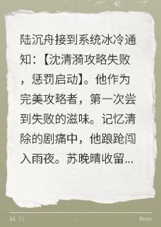 火爆失败后忘记了她的所有小说，主角是苏晚晴陆沉舟暖暖在线阅读全文无删减