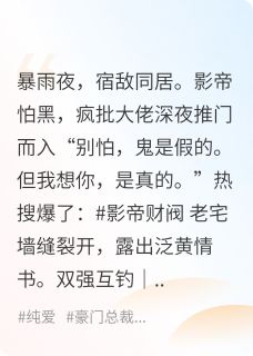他俩官宣那天，全网塌房了小说-裴照野许言之全篇阅读