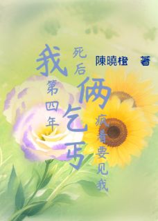我死后第四年，俩乞丐疯着要见我小说的书名是什么