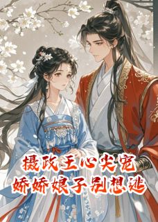 [抖音]小说沈砚之政王云柔摄政王心尖宠，娇娇娘子别想逃