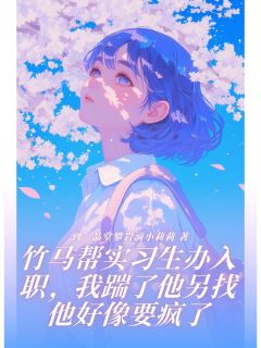 到一品堂攀岩滴小的小说竹马帮实习生办入职，我踹了他另找他好像要疯了全文阅读