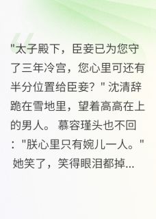 作者一见卿卿误终生写的休妻后，太子在我坟前跪了三年小说大结局全章节阅读