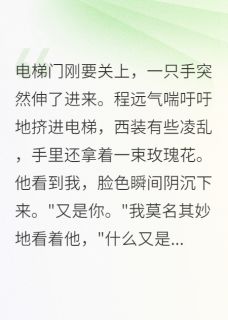 被当成情敌后，我真的爱上了她章节全目录 苏晴程远全文免费阅读