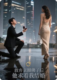 放弃京圈佛子后，他跪着求我结婚无广告阅读 沈聿白温晚免费在线阅读-暗夜阅读网