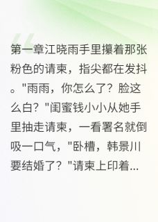 那个机场头也不会的男孩回来了江晓雨韩景川赵轶全章节目录免费阅读