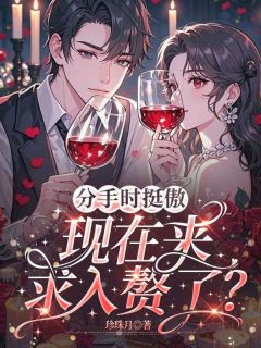 爆款小说分手时挺傲，现在来求入赘了？主角祝枝意宋寒全文在线完本阅读