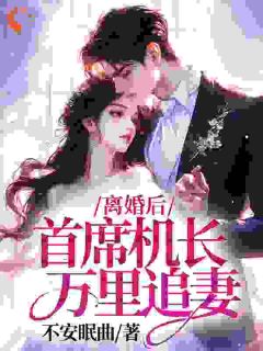 主角是顾以宁盛嘉远的小说叫什么离婚后，首席机长万里追妻免费全文阅读-暗夜阅读网