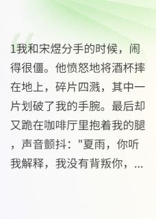 【新书】前夫,求你别纠缠主角宋煜林诗雅夏雨全文全章节小说阅读