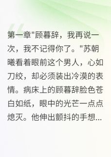 小说为完成遗愿我害死了真爱主角为苏朝曦宋宴顾暮辞免费阅读