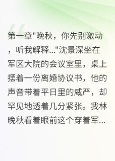 军区大院假离婚真相让所有人震惊在哪免费看，沈景深苏雨薇小说章节目录阅读