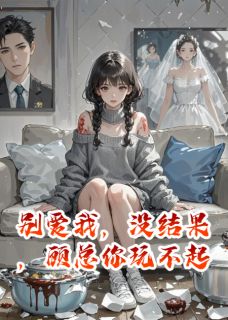免费完结小说别爱我，没结果，顾总你玩不起顾凛夜沈清欢无弹窗免费阅读