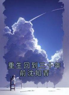 重生回到三十年前沈知青沈知青陆向北-小说未删减阅读