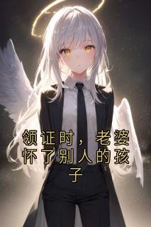 领证时，老婆怀了别人的孩子最新章节免费阅读by侠名无广告小说