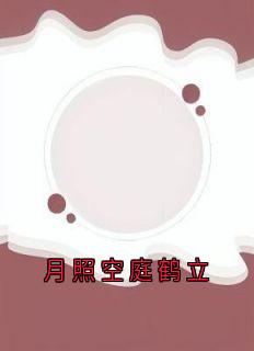 【抖音热推】段以沫萧航全文在线阅读-月照空庭鹤立全章节目录